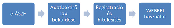 EFJ_process