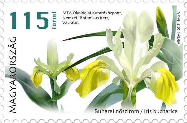 Virágok bélyeg 1